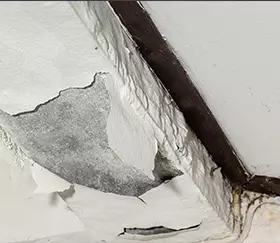 expert plumber near me San Diego CA
