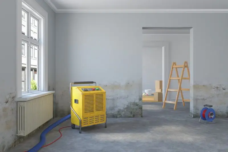 Can water damage be repaired?