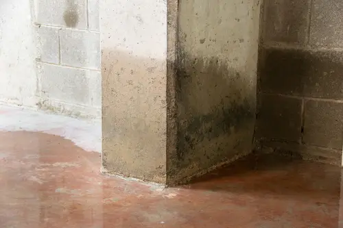 Steps to Take After a Sewage Backup