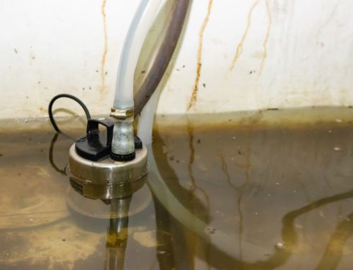 The Dangers of Sewage Backup