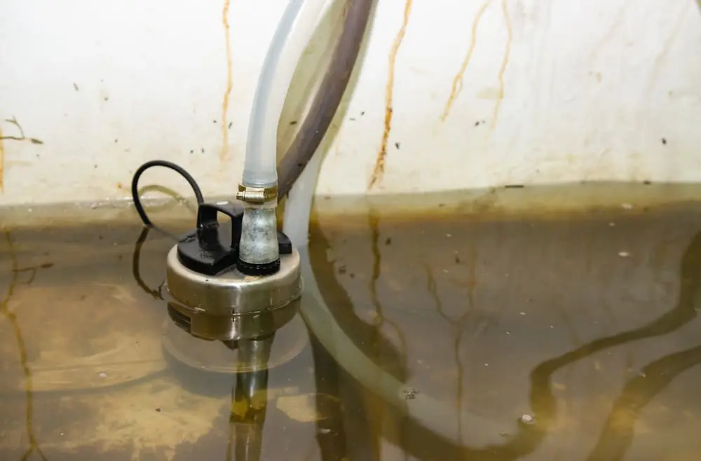 san diego sewage cleanup