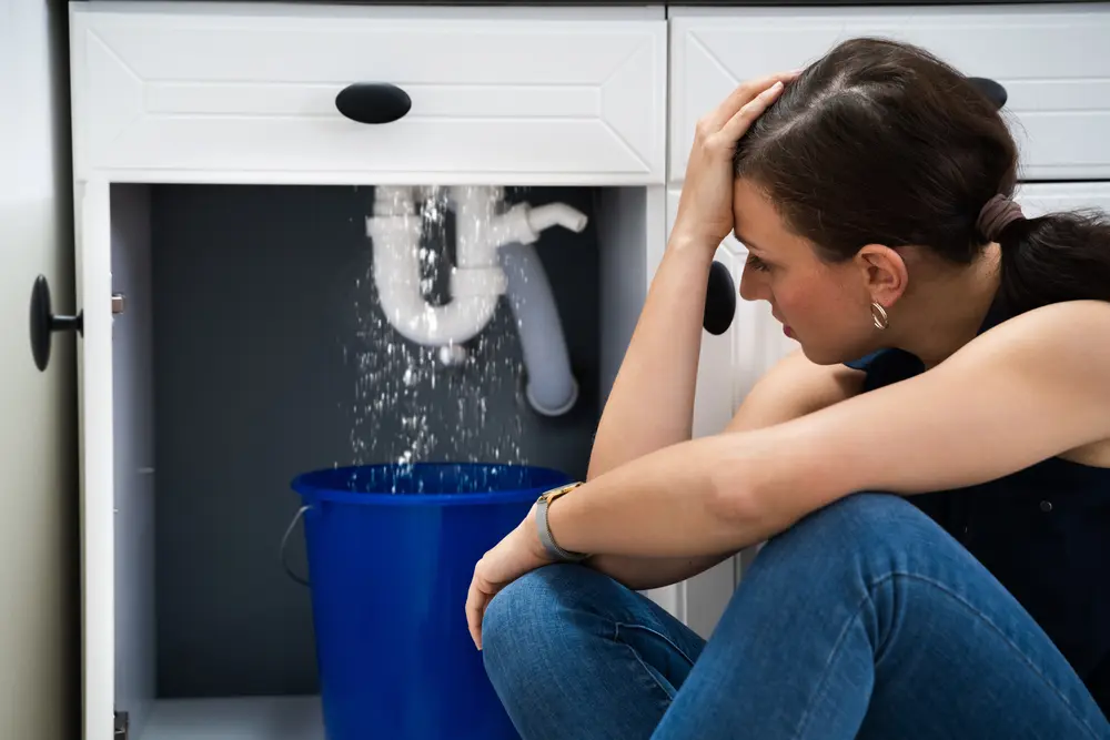 What are the most common household plumbing issues? 