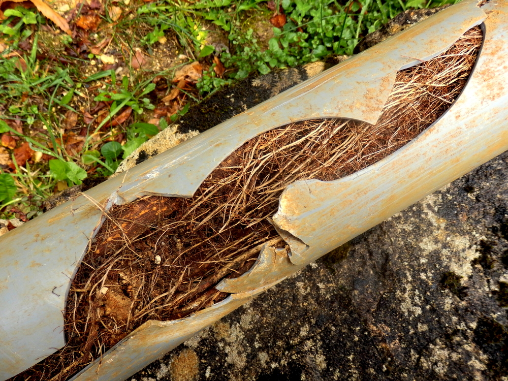 What would cause a pipe to burst