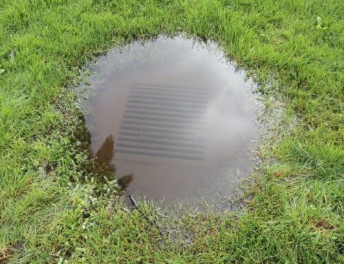 6 Telltale Signs that Your Main Sewer Line May Be Clogged