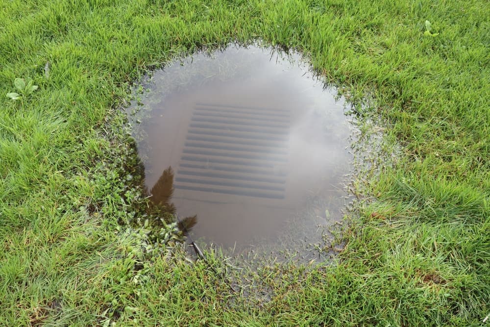 How to tell if the main sewer line is clogged