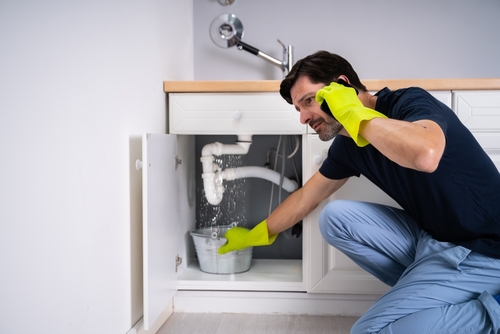 Eastlake plumbing services 