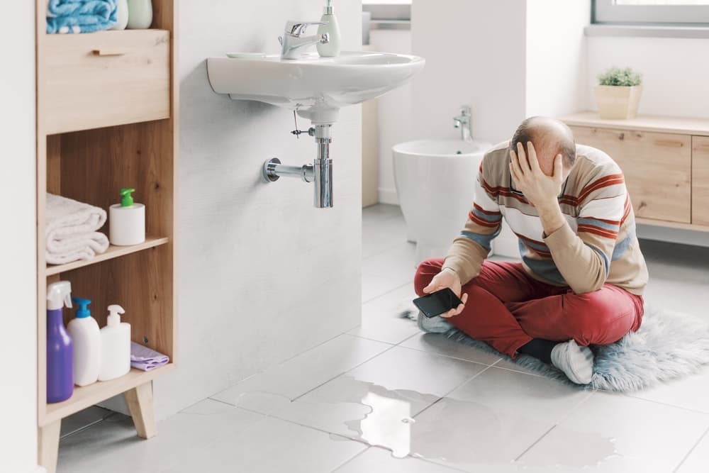 What types of plumbing issues are covered by homeowners' insurance