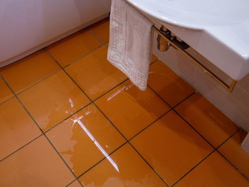 emergency plumbers Eastlake