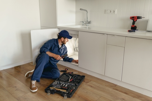 top San Ysidro emergency plumbers