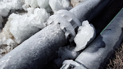 Who are the go to professionals for emergency plumbing in Sorrento Valley